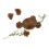 Parakeet Coconut House Coconuts Shell Hanging 1pcs 1