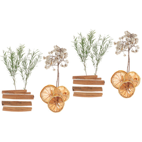 2Boîtes Fleurs Séchées DIY Pour Créations Artistiques Décoratives 2
