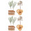 2Boîtes Fleurs Séchées DIY Pour Créations Artistiques Décoratives 4