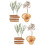 2Boîtes Fleurs Séchées DIY Pour Créations Artistiques Décoratives 6