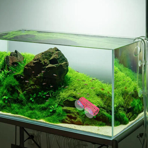 Fish Bed Tunnel Betta Fish Accessory Abs 1pack 2