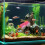 Fish Bed Tunnel Betta Fish Accessory Abs 1pack 4