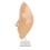 5D Silicone Makeup Practice Face Board for Beginners, 20ml Remover 16