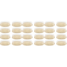 30Pcs Golden Plastic Food Storage Box for Cakes and Pastries