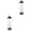 2Pcs Clear Plastic Straw Dispenser Holder Space-Saving Counter Storage 5
