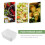 4Pcs Reusable Airtight Fridge Storage Boxes White Plastic Food Keeper 7