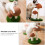 Coffee Cat Scratching Post Toy Mushroom Shape Sisal Board 6