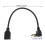 Rallonge Display Port - PVC 4K Support Noir 2