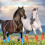 4Pcs Orange Teslin Mesh Horse Fly Boots Breathable 4