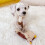 (Fox) Squeaky Plush Chew Toy for Dogs, Teeth Cleaning Tool 5