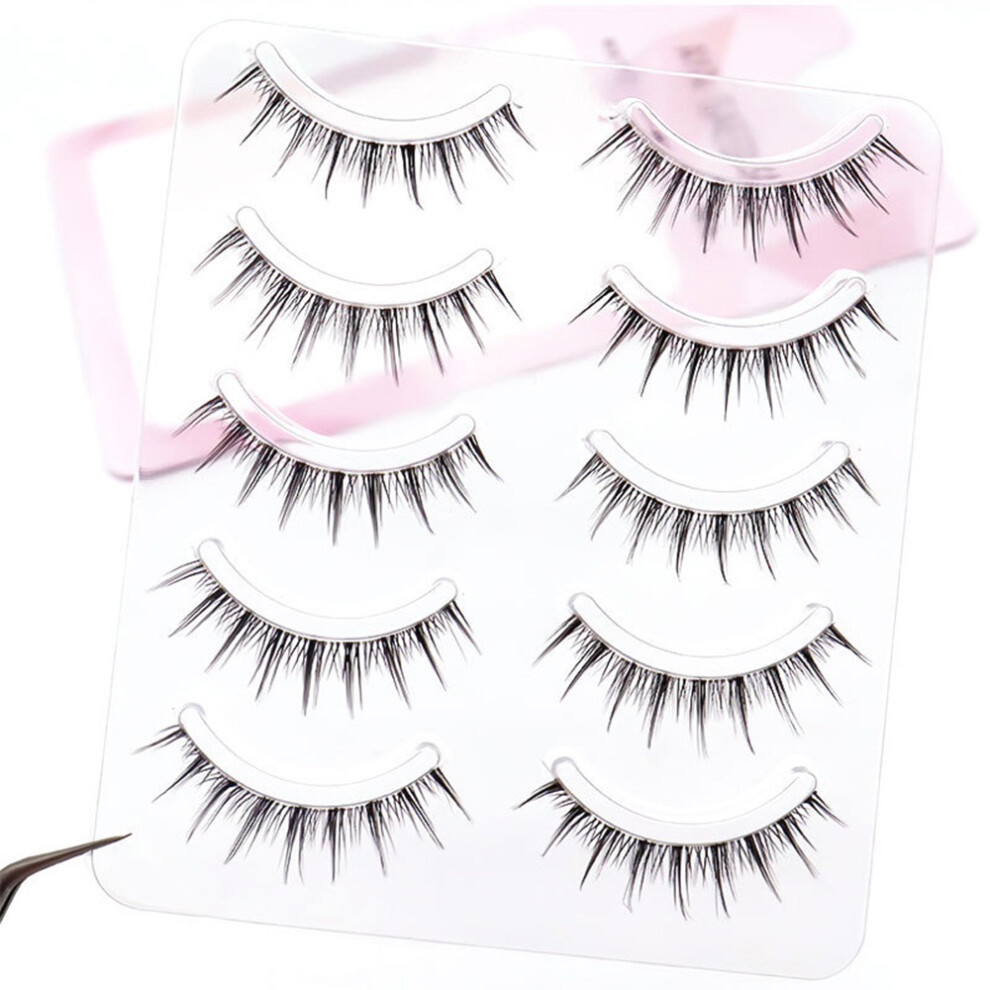 Dachuang Beauty 5 Pairs Soft Fluffy False Eyelashes For Daily & Stage Use