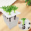 (White) Hydroponic Grow Kit for Indoor Plants, 50 Chars 1