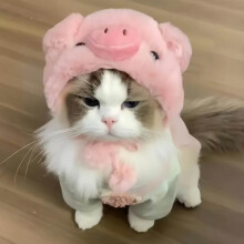 (Plush head cover (pig)) Cute Cat & Dog Plush Hat - Pig/Chicken Style