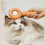 (Puppy Comb - Orange) Self-Cleaning Cat Comb, 1-Click Hair Release 4