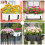 4PCS Adjustable Planter Box Bracket (6 to 12.5 Inches) for Flower Box Holders, Window Boxes PlantersHooks, Wall 8