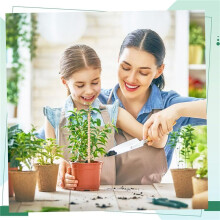 36 Pezzi Pali per Piante di Elettrocoltura, Pali da Giardino Antenna da Giardinaggio In Rame per Elettrocoltura per Supporto per Piante da Giardino da