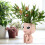 Resin Alien Head Planter with Drainage 1