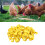100Pcs Clip-On One Size Yellow Numbered Leg Bands 15