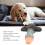 Latex Wild Goose Rope Squeaky Toy - Small/Med 5