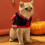 Pet Devil Costume Polyester XS Halloween Cloak 5