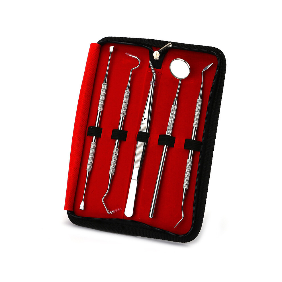 5Pcs Professional Stainless Steel Dentist Tool Set Dental Cleaning and Hygiene Kit