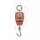 200 Kg Professional Industrial Digital Scale, Dynamometer Hook Spring f74 5