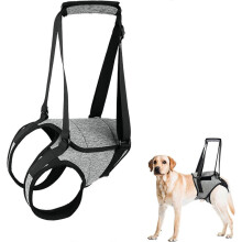 Harnais de soutien pour pattes arrière de chien, grand modèle avec poignée de levage, réglable, pour chiot, pour soulager la douleur et