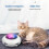 White Automatic Cat Toy 56*156*92mm 300mA USB 5