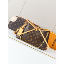LV CarryAll BB Bag | Monogram Canvas Chain Shoulder Tote