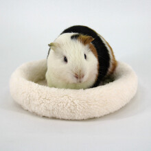 Hamster-Schlafmatte Weich Warm Waschbar Kleintierkissen Beige L