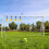 (Yellow) Portable Football Training Goal - Durable Target 4
