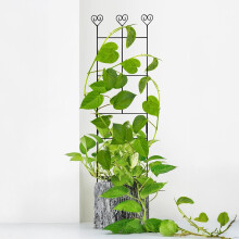 (70*30cm*Black, 1pc) Iron Trellis for Indoor/Outdoor Potted Plants