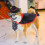 (style5) Pet Halloween Costume Pet Dog Cape And Hat 4