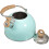 2Pcs Convenient Blue Boiling Kettle Stainless Steel Pot for Home 1
