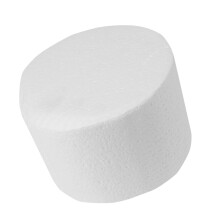 12cm Round Cake Dummy DIY Practice Mould for Baking Display