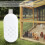 Plastic USB Ultrasonic Insect Repeller Mosquito Cockroach Control 5-12V 8