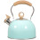 2Pcs Convenient Blue Boiling Kettle Stainless Steel Pot for Home 2