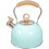 2Pcs Convenient Blue Boiling Kettle Stainless Steel Pot for Home 3