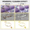 2.0L Digital Ultrasonic Cleaner Ultra Sonic Bath Cleaning Heater Timer 11