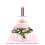 100pcs baking piping stands tools for cake and ice cream decor 6