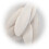 2 X LARGE CUTTLEFISH BONE PIECES 7-9" 4