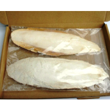 2 X LARGE CUTTLEFISH BONE PIECES 7-9"