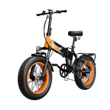 Cheevalry 1000W Offroad Electric Bike 48V 20AH 20*4inch E-Mountainbike 150km