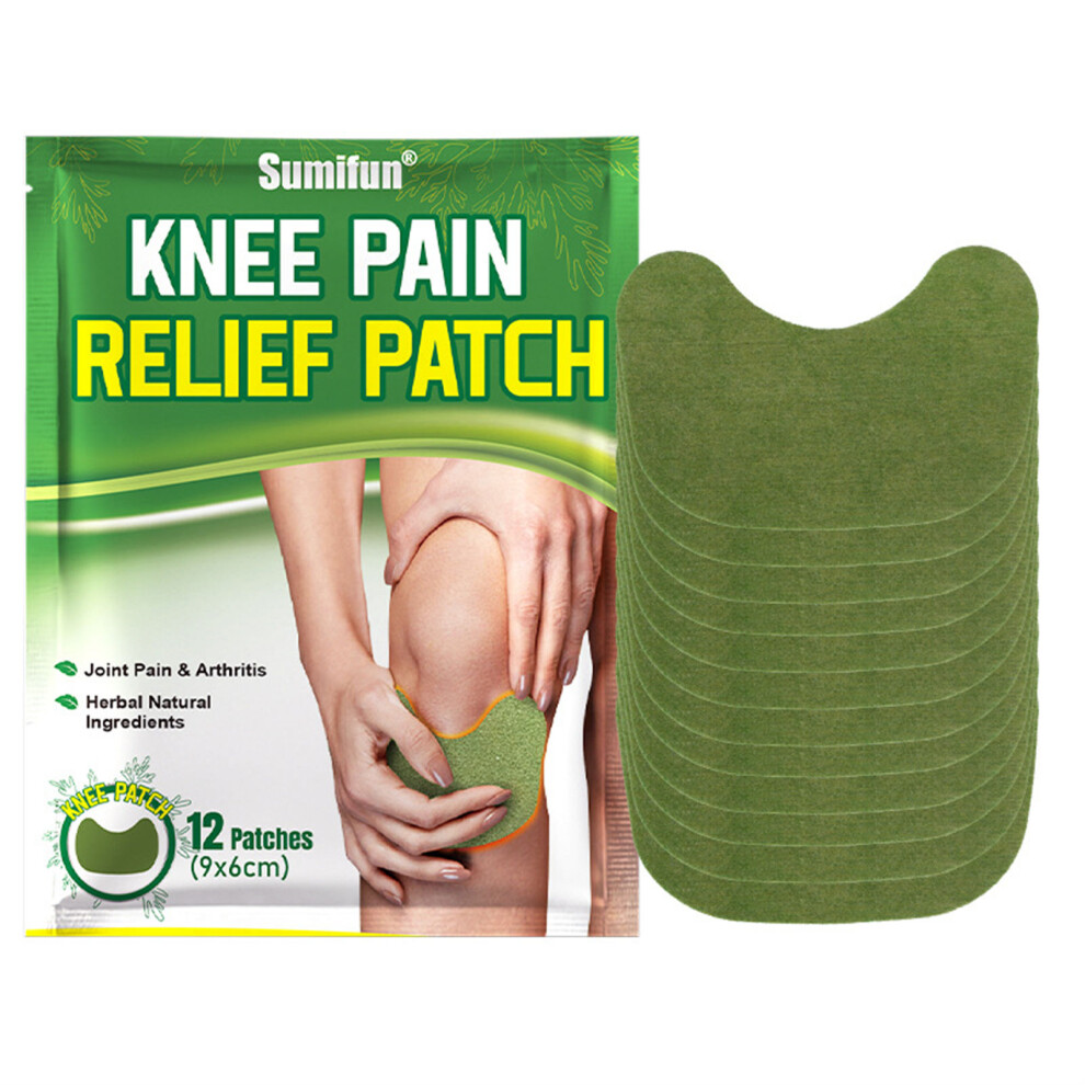 Dachuang Beauty 12Pcs Herbal Knee Pain Relief Patches