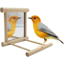 Birdhouse with Mirror and Food Storage, Attracts Wild Birds, Outdoor Garden Hanging Bird Feeder House with Perch