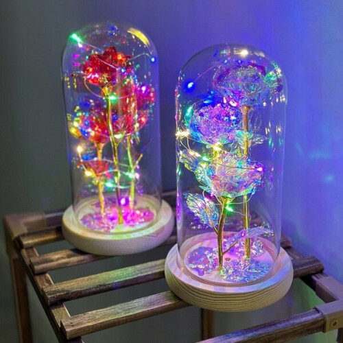 LED Rose Lamp 21cm with Transparent Dome Plastic Base, Battery Powered Decorative Light 1