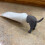 Pooping Dog Butt Toothpaste Topper Grey 80x60x60mm 4