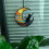 TYU400 Cat Suncatcher, 12.7x12.7 cm, Colorful 11