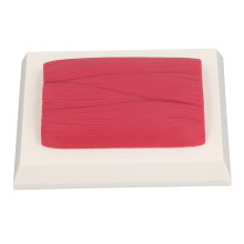 Human Body Muscle Tissue Model – Silicone Replica for Education & Fitness Enthusiasts