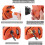 Portable Drill Bit Sharpener for 2-16mm Bits with 2 Grinding Discs Drill Bits, Lightweight Nylon for Home Workshop Use 3